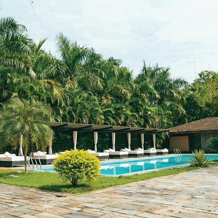Kasara Chitwan Hotel Patlahara Ngoại thất bức ảnh