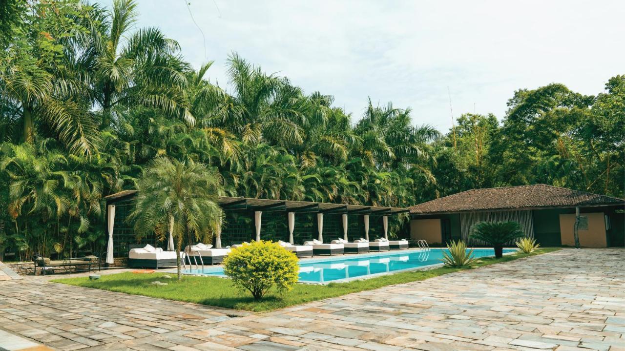Kasara Chitwan Hotel Patlahara Ngoại thất bức ảnh